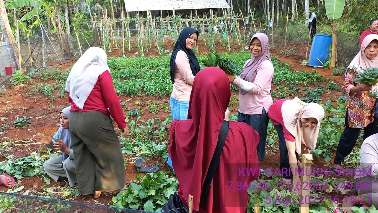 foto panin Sayuran KWT Sari Murni